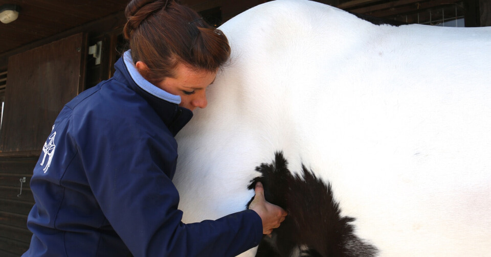 Why is it different?