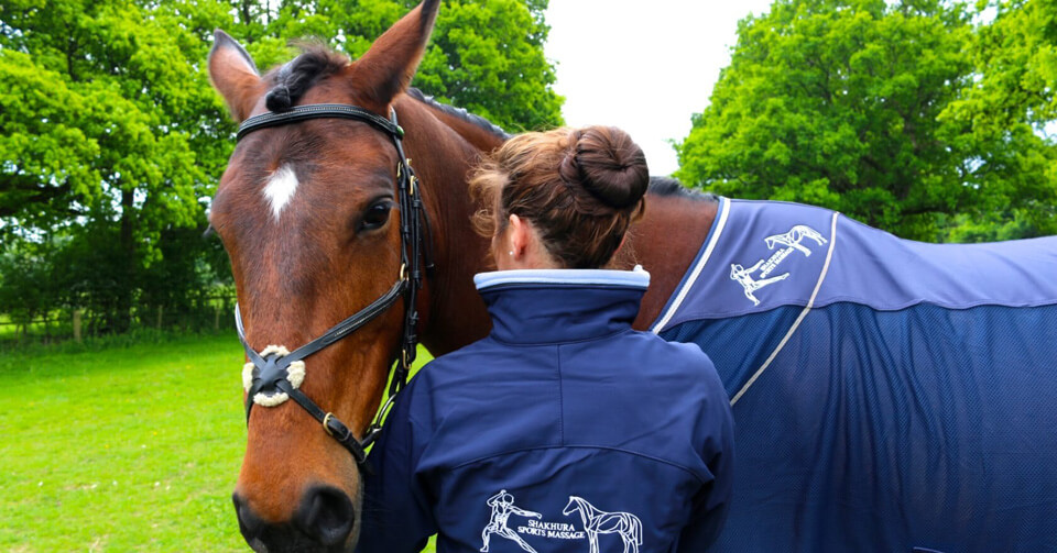 Welcome to Shakhura Sports and Equine Massage