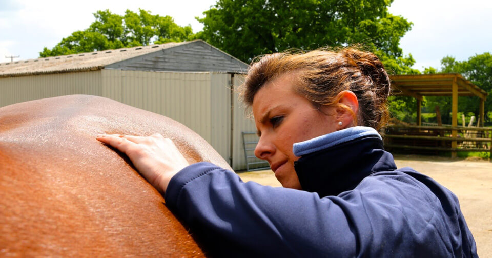 Welcome to Shakhura Sports and Equine Massage